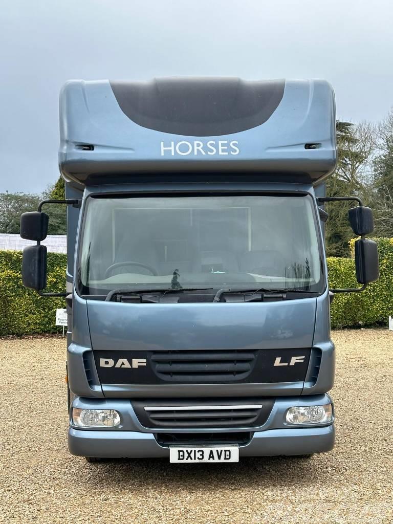 DAF LF Horsebox (2020 Build) Animal transport trucks