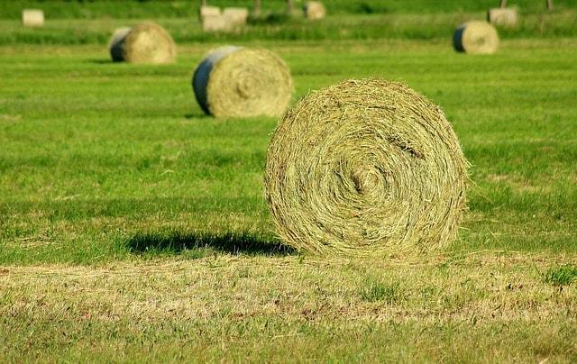 Des délais de plus en plus long pour acheter du matériel agricole neuf