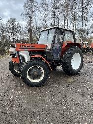 Ursus c-385