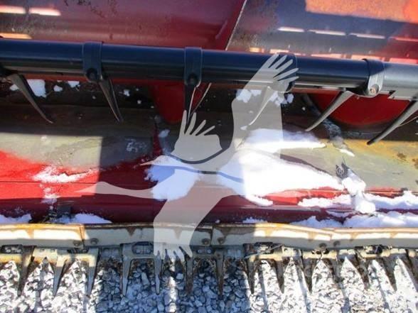 Case IH 1020 Barre de coupe pour moissonneuse batteuse