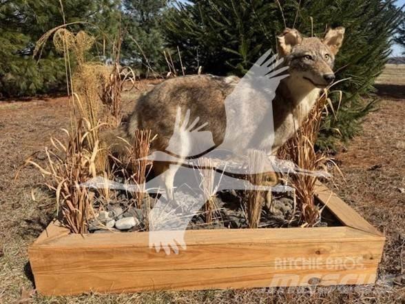 Coyote  Construction - Autres