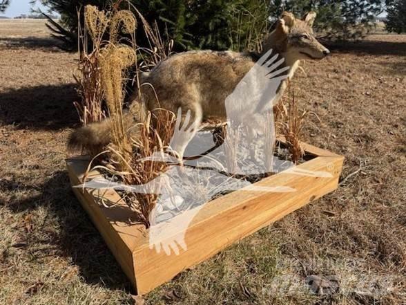 Coyote  Construction - Autres