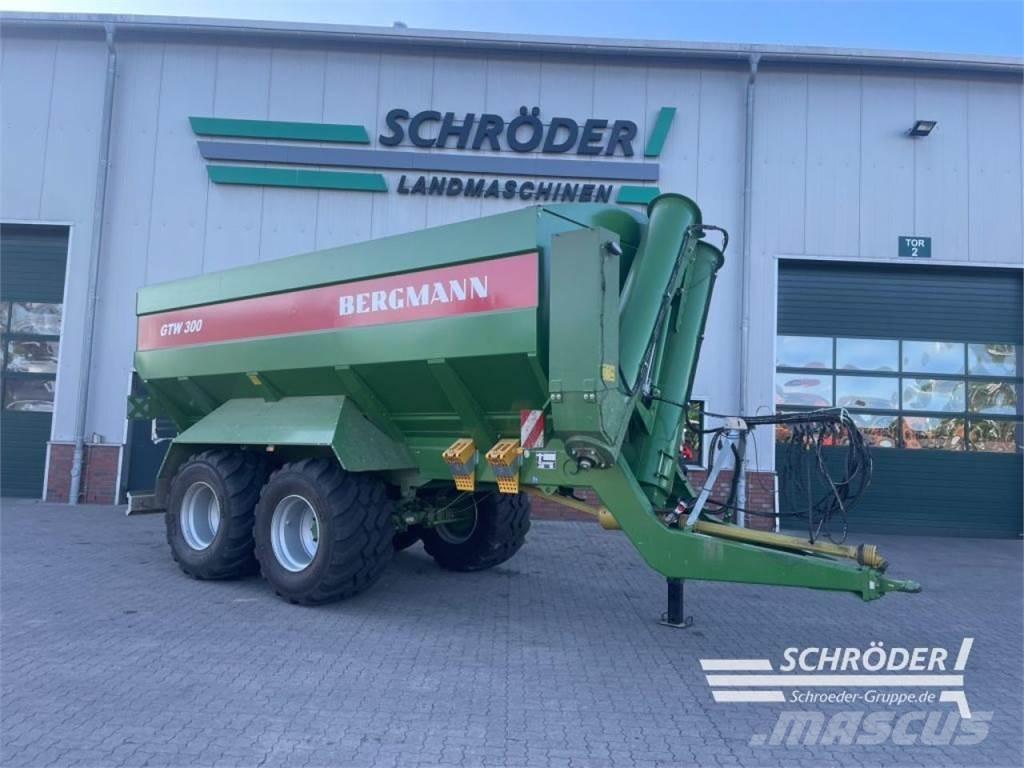 Bergmann GTW 300 Transbordeur