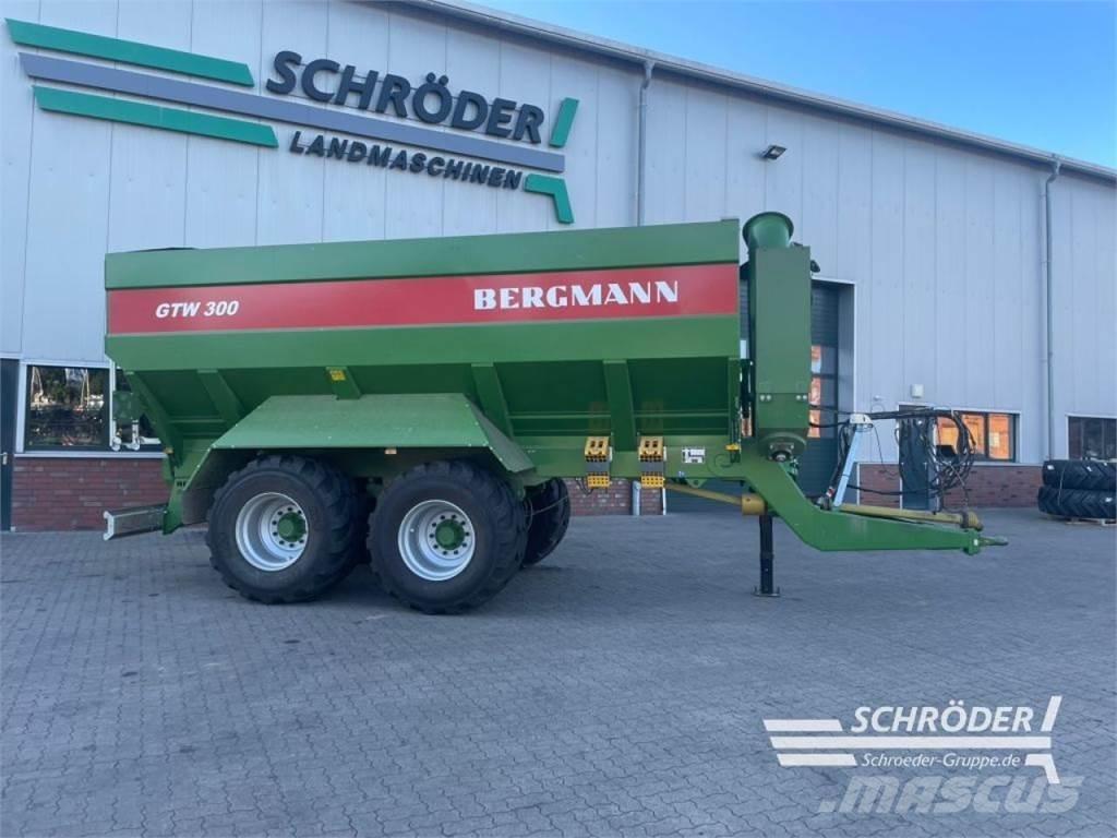 Bergmann GTW 300 Transbordeur