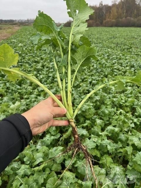 Väderstad Topdown500 Déchaumeur, cultivateur