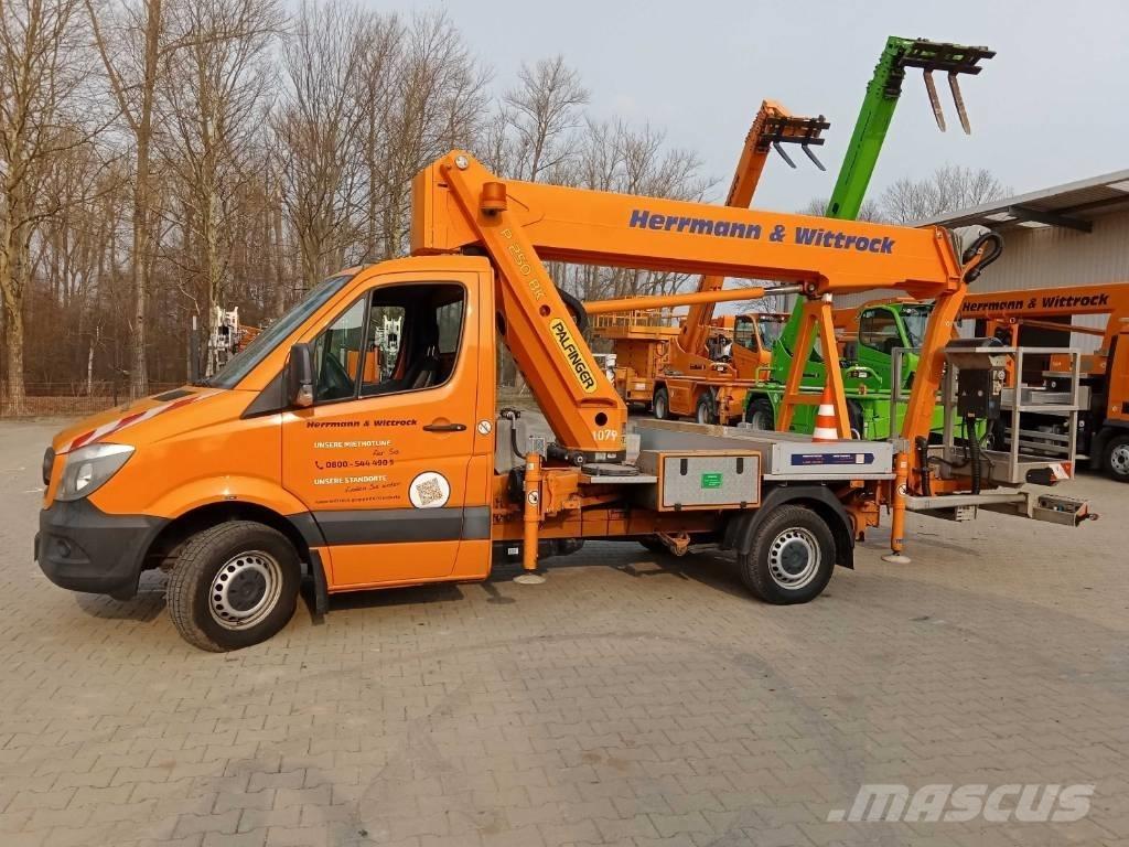 Palfinger P 250 BK Camion nacelle