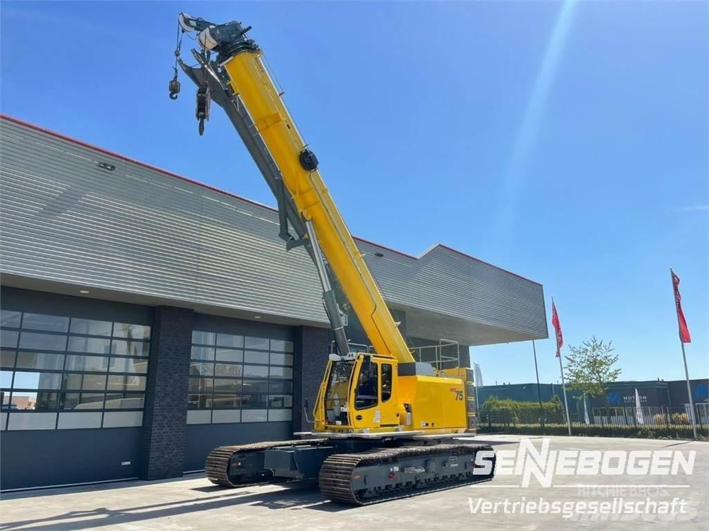 Sennebogen Grove Grue sur chenilles