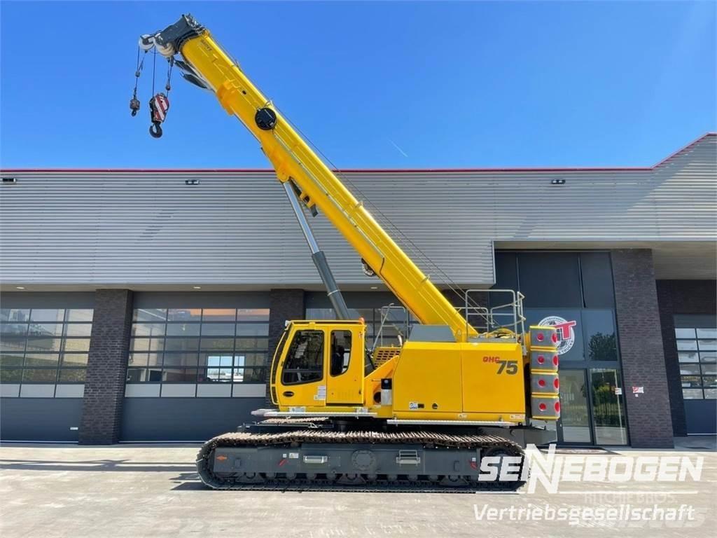 Sennebogen Grove Grue sur chenilles