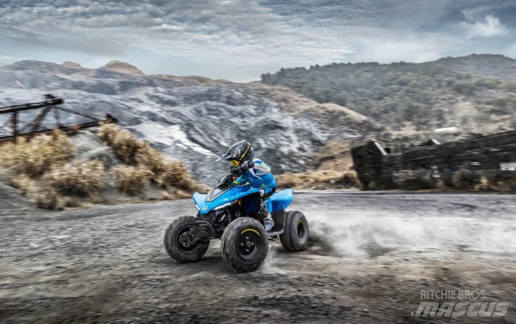 CFMoto CFORCE 110 Quad