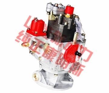 Cummins fuel pump Transport - Autres
