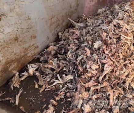 Eggersmann C14 Broyeur à déchets