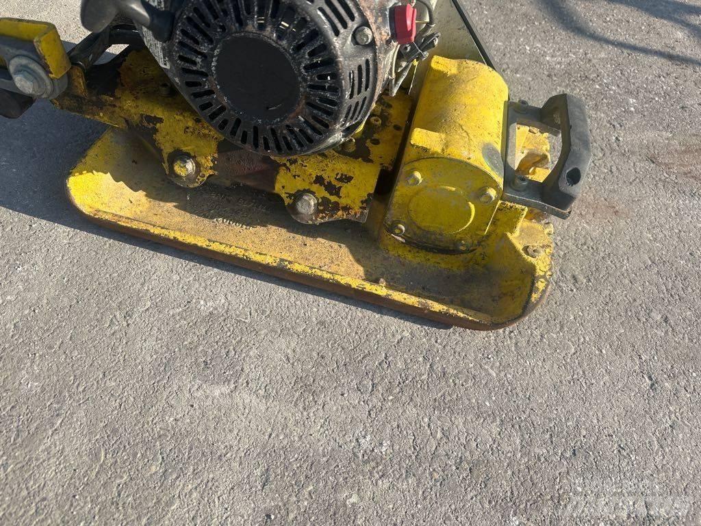 Wacker Neuson VP1135 Plaque vibrante