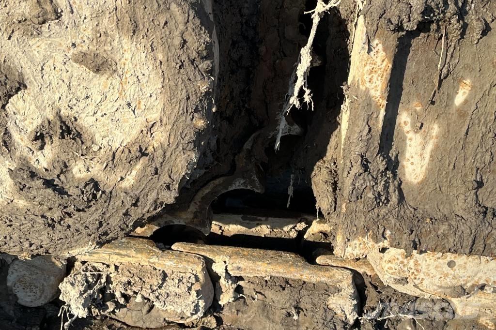 CASE CX 235 C Pelle sur chenilles