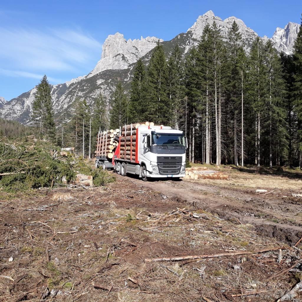 Volvo Truck Remorque forestière avec grue