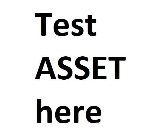  test B Chargeuse sur pneus