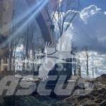 CAT 349EL Pelle sur chenilles