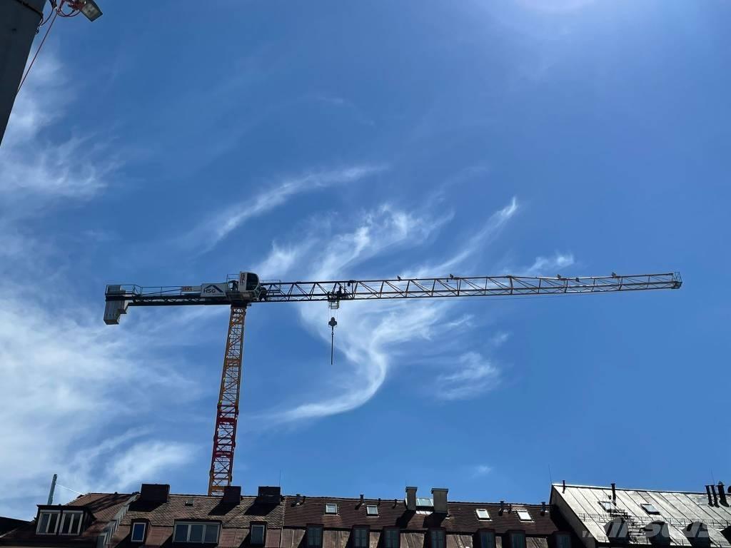 Saez TLS 55 13 Grue à tour