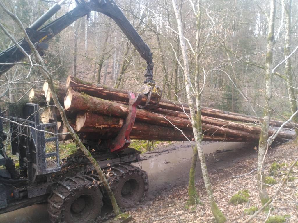  Noé 210/6r Débusqueur