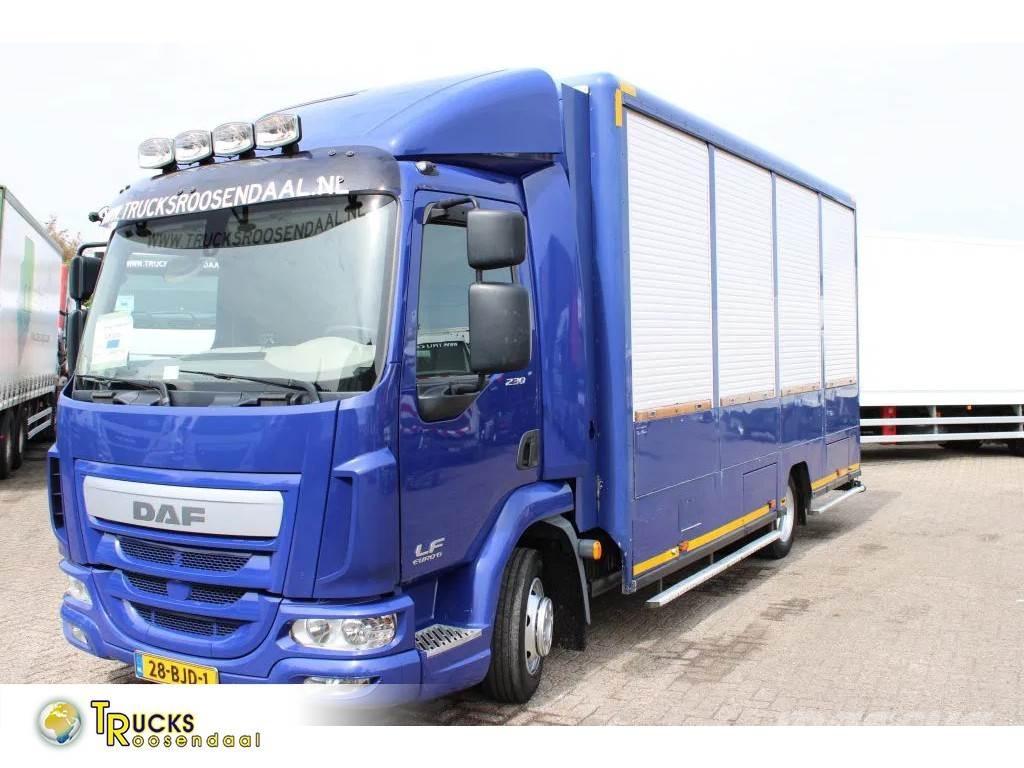 DAF LF 230 + EURO 6 Camion Fourgon