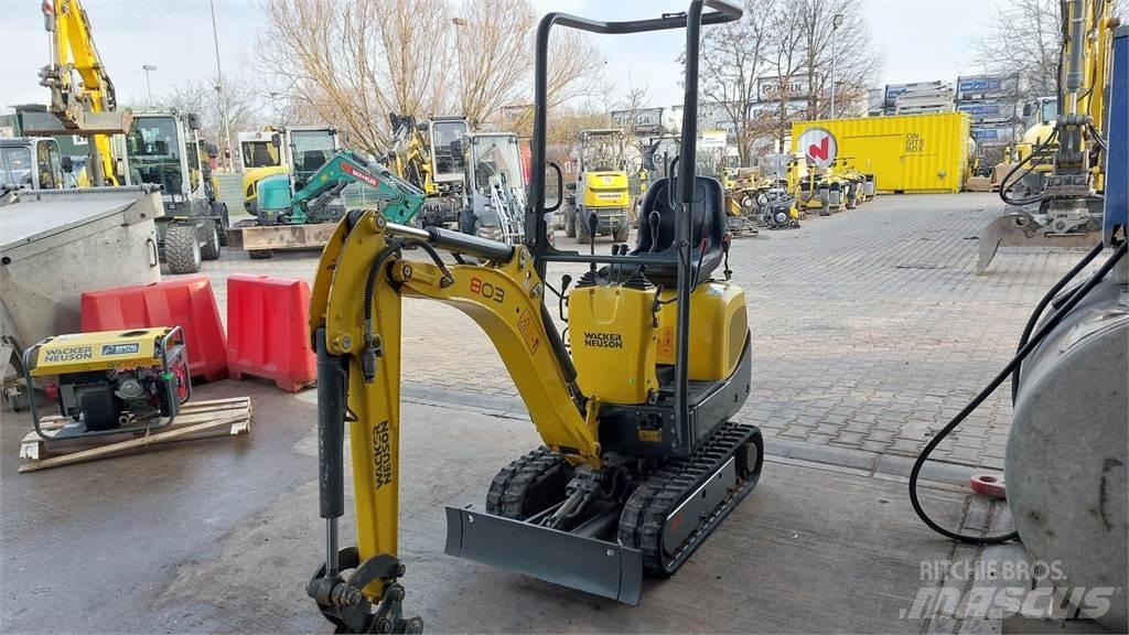 Wacker Neuson 803 Pelle sur chenilles