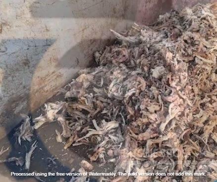 Eggersmann C14 Broyeur à déchets
