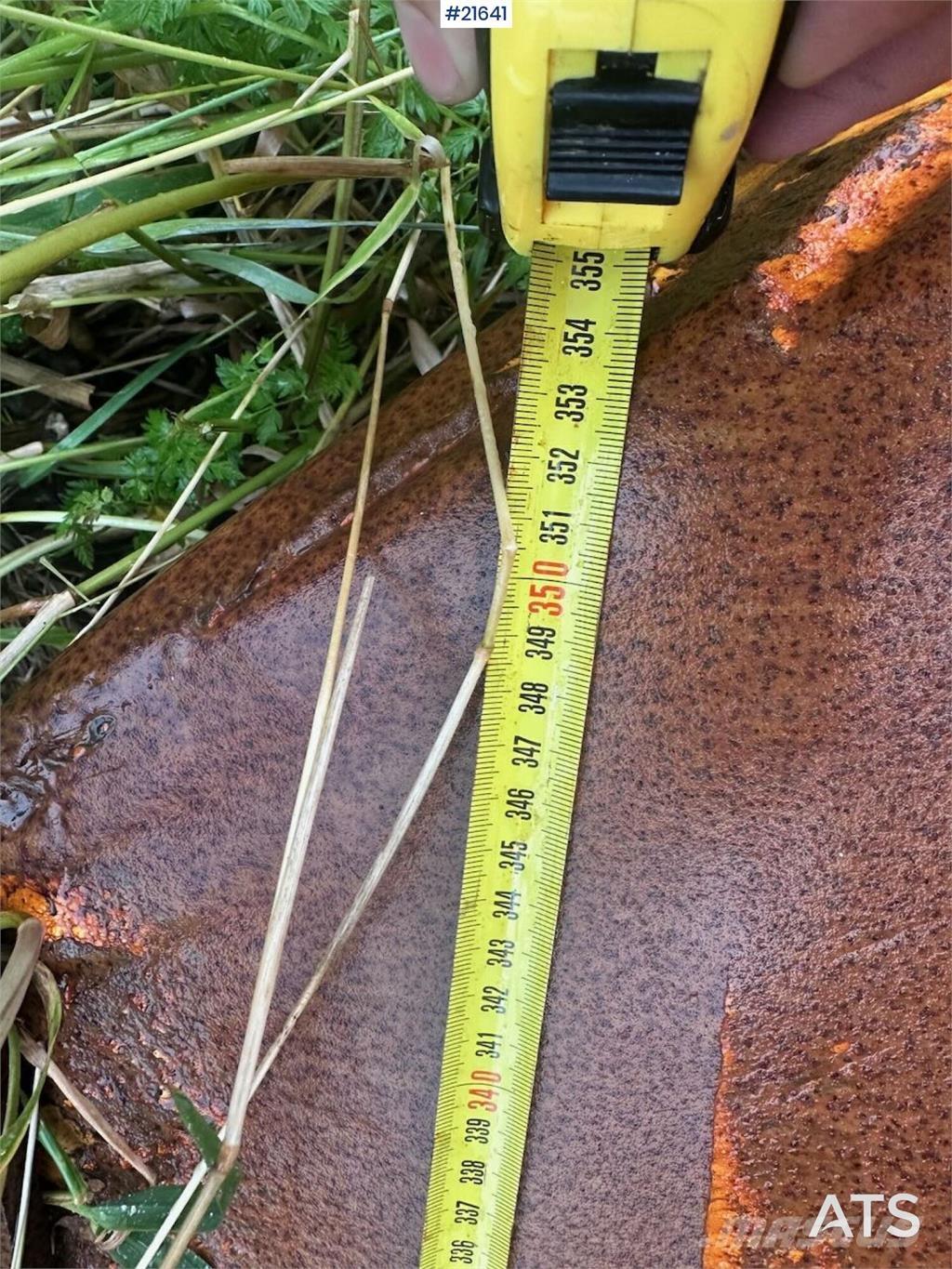  Gmill HDA 265 plow. Transport - Autres