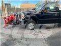 Ford F 350 Camion plateau