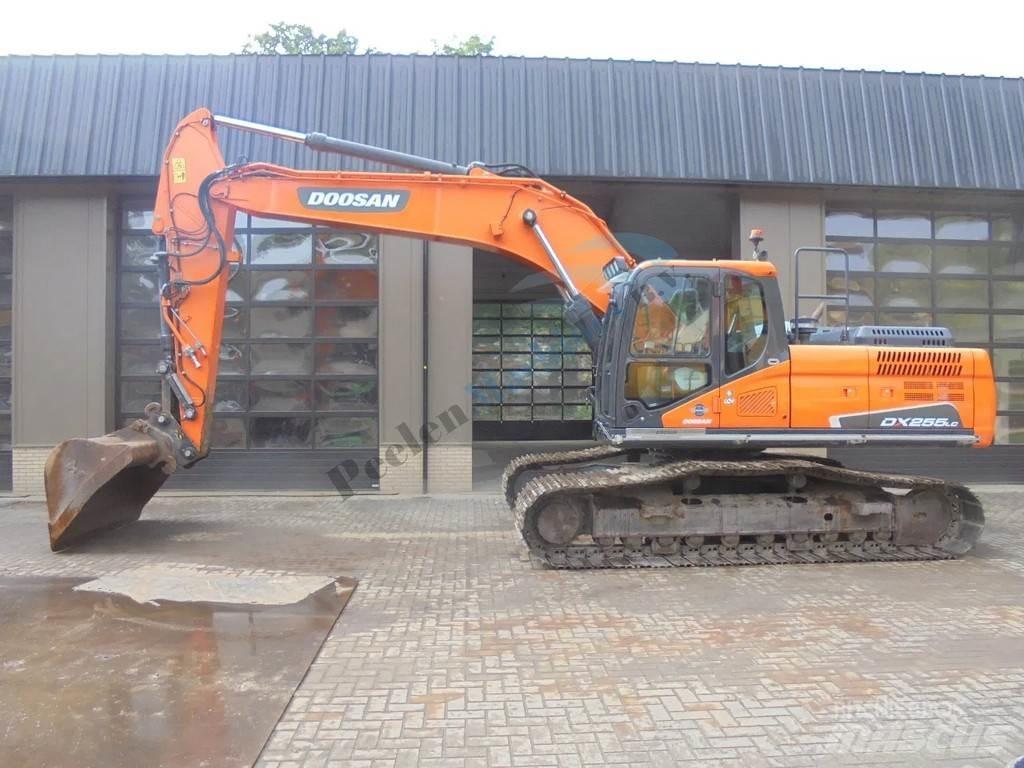 Doosan DX 255 LC-5 Pelle sur chenilles