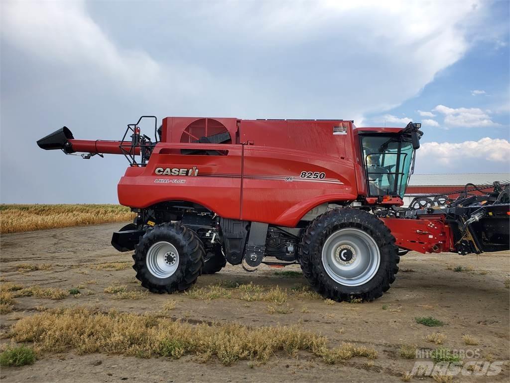 Case IH 8250 Moissonneuse batteuse