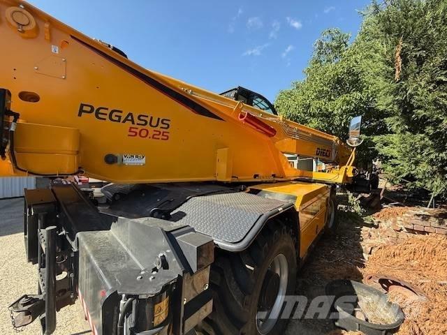 Dieci Pegasus 50.25 Chariot télescopique