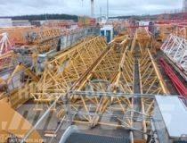 Potain MD265B1-J10 Grue à tour