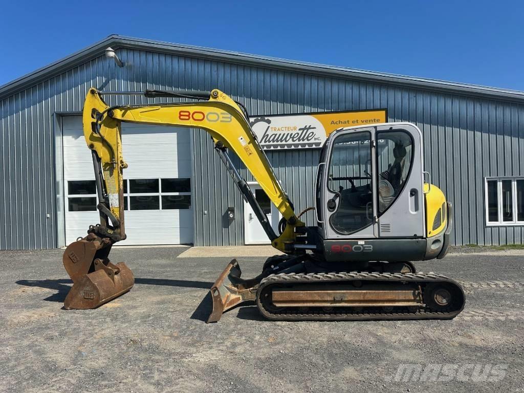 Wacker Neuson 8003 Pelle sur chenilles