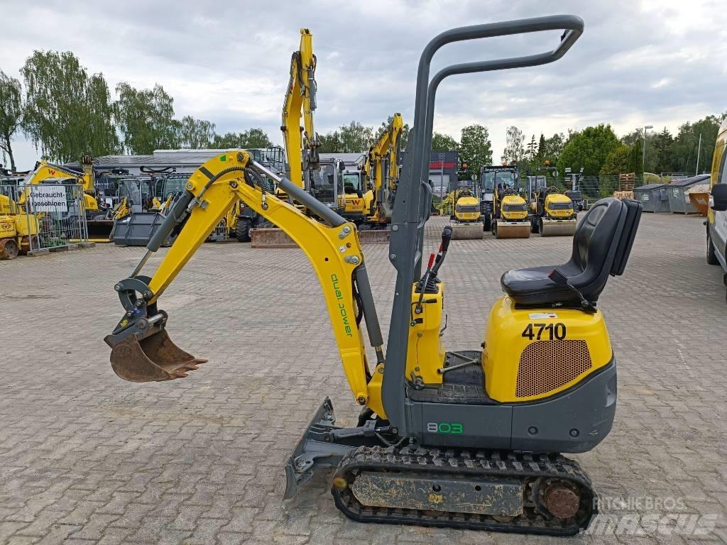 Wacker Neuson 803 Pelle sur chenilles