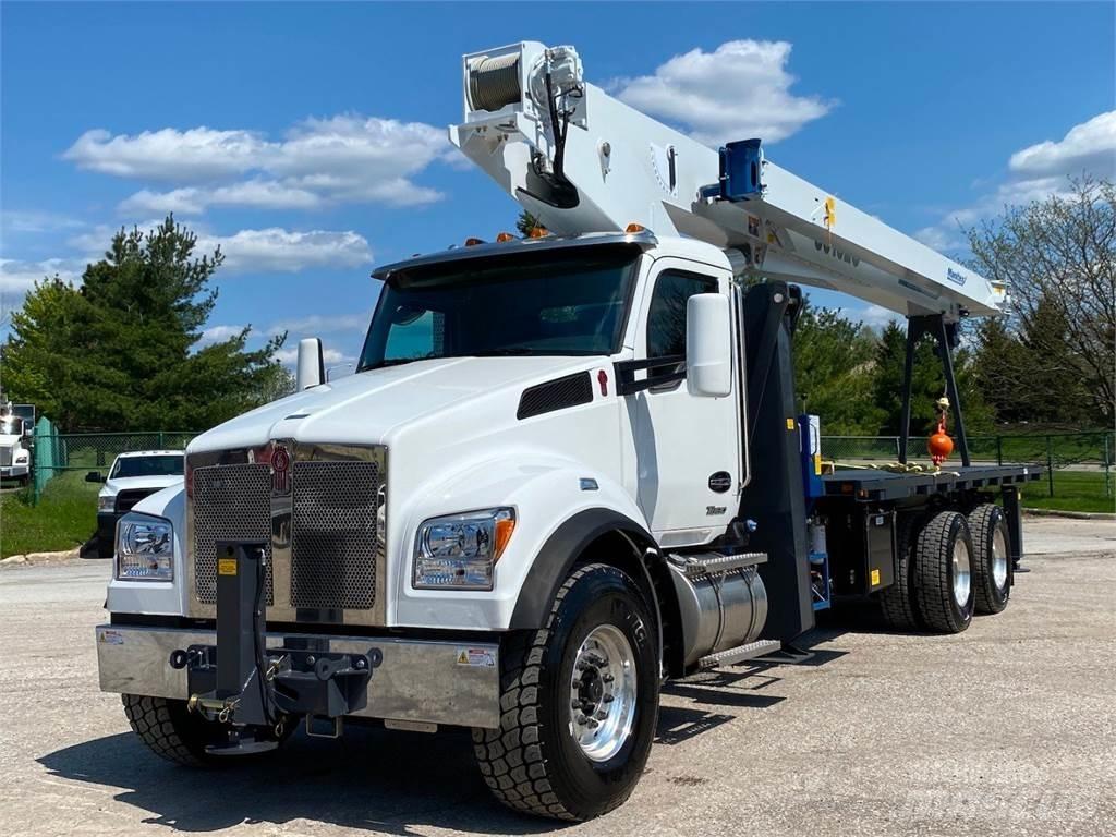 Manitex 30102 C Camion plateau ridelle avec grue