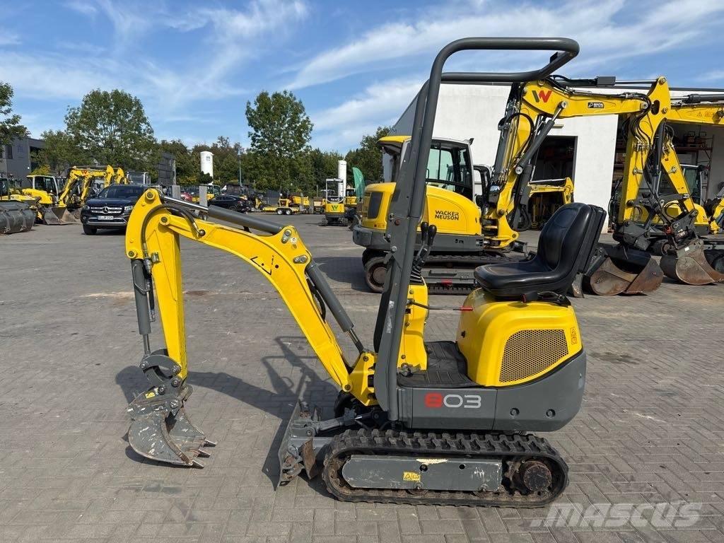 Wacker Neuson 803 Pelle sur chenilles