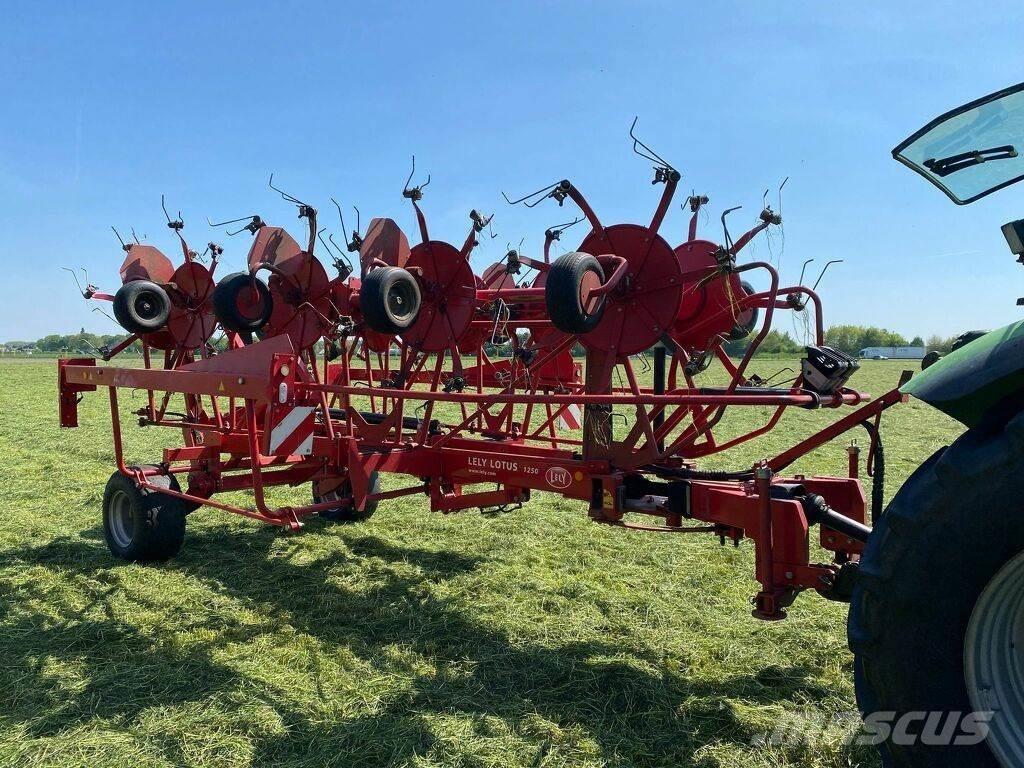 Lely 1250 Rateau faneur