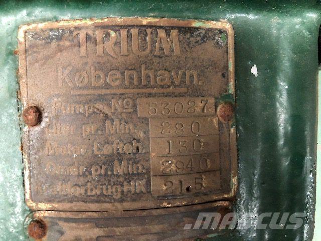  TRIUM QZKS Vandpumpe Pompe à eau / Motopompe