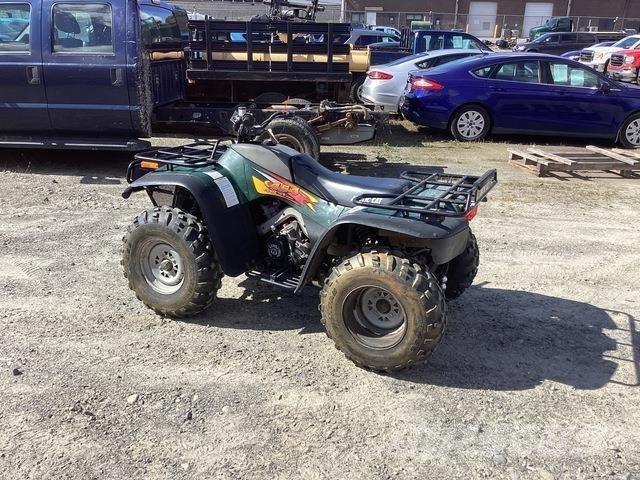 Arctic Cat 454 Quad