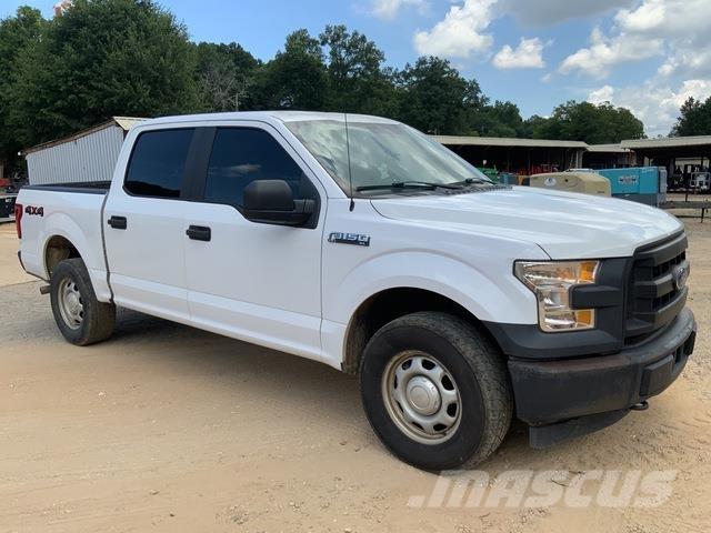Ford F-150 Utilitaire benne