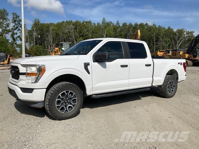 Ford F-150 Utilitaire benne