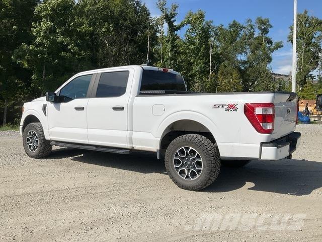 Ford F-150 Utilitaire benne