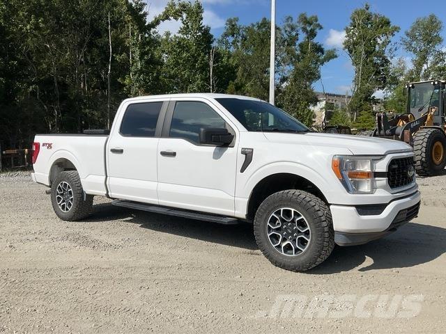 Ford F-150 Utilitaire benne