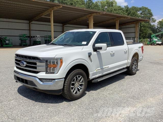 Ford F-150 Utilitaire benne