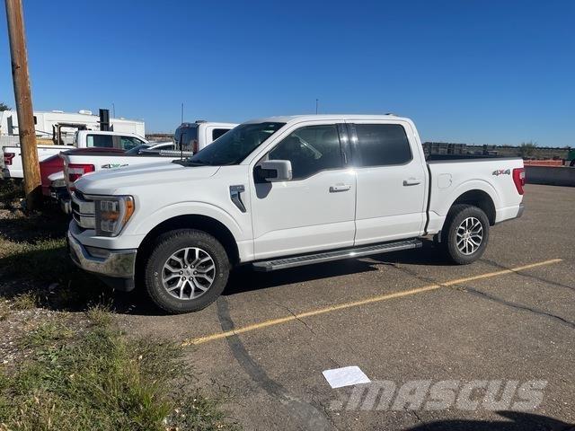 Ford F-150 Utilitaire benne