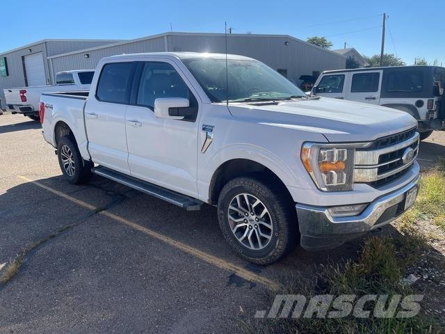 Ford F-150 Utilitaire benne