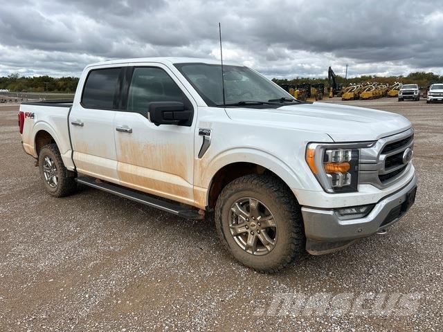 Ford F-150 Utilitaire benne