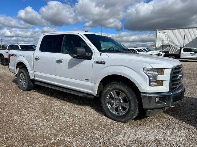 Ford F-150 Utilitaire benne
