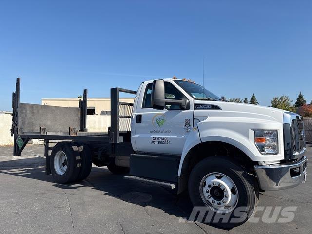 Ford F-650 Camion plateau