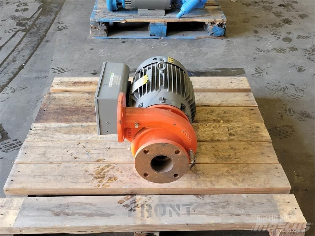  BERKELEY Pompe à eau / Motopompe