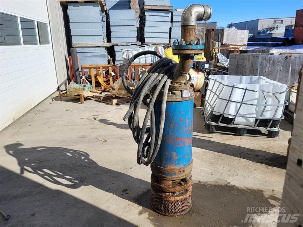 Tsurumi LH322W Pompe à eau / Motopompe